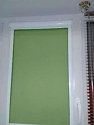 WP  000500